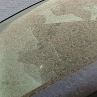大量飛散の花粉に黄砂…“愛車が汚れる春”にプロが教える洗車の基本
