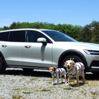 筆者の愛車と愛犬