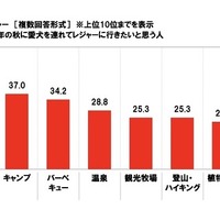 愛犬と一緒に楽しみたいレジャー