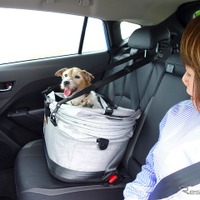 後で悔やんでも遅い！ 愛犬とドライブ旅行を重ねる意味と理由