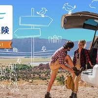 三井ダイレクト損保の「ANAの保険「明日へのつばさ」自動車保険」