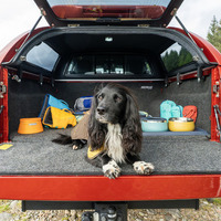 「いすゞD-Max×Ruffwearコレクション」
