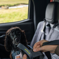 「いすゞD-Max×Ruffwearコレクション」