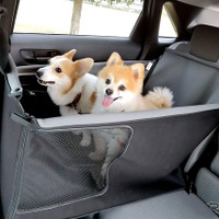 ボックス型シート(ドライブボックス)