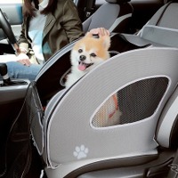 ボックス型シート(ドライブボックス)