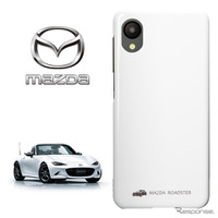 アークティックホワイト（A4D）