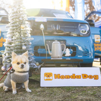 Honda Dog…Sippo Festa2025