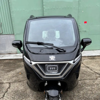 ドア付きアーバントライカー（ブラック）