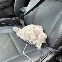 猫型ロボット「ドラにゃむ」のプロトタイプ