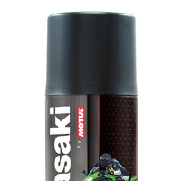 Kawasaki Chain Clean