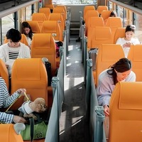 ワンちゃん同士けんかしないように互い違いに設置された座席、各座席のロールスクリーンでプライベート空間を演出