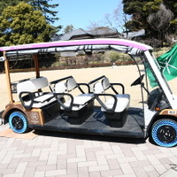 グリーンスローモビリティの外観