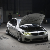 NoWhereToGo 2026（ノーウェア・トゥ・ゴー）