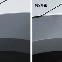 復活王 黒樹脂用