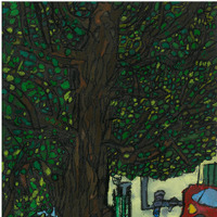 「100年生きた木」堀田 騎士さん