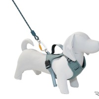 コンビのペットブランド「コムペット」のシートベルトを通すだけの「カーリンク ハーネス」