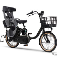 ヤマハ PAS babby（スターダストブラック）