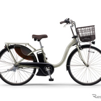 ヤマハ PAS With（シャンパンシルバー）