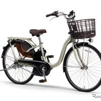 ヤマハ PAS With（シャンパンシルバー）