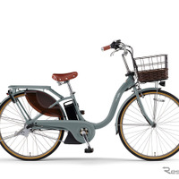 ヤマハ PAS With DX（マットユーカリ）