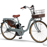 ヤマハ PAS With DX（マットユーカリ）