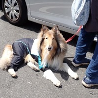 関東キャンピングカー商談会