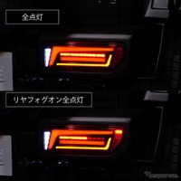 リヤフォグ点灯イメージ