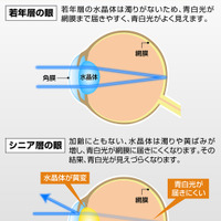 大人世代にマッチする、見やすい3000Kの暖色光｜LEDヘッドバルブ C5000