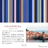 レ・トワール・デュ・ソレイユとコラボした『カングー』専用ベッドキット