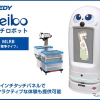 マルチロボット