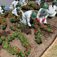 鈴鹿8耐 メイン花壇