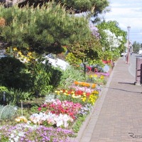 研究村通り・花さんぽ通り