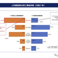 人的要因別の死亡事故件数（2025年）