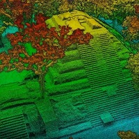 上空からのレーザ計測によるコパン遺跡の点群データ