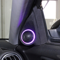 「ドアスピーカー」の「アウター化」が実行されたオーディオカーの一例（製作ショップ:ワープス＜広島県＞）。