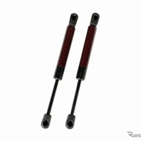 ブリッツ『86/GR86/BRZ』トランク用フードダンパー
