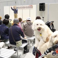 東北キャンピングカーフェア2026、夢メッセみやぎで10月開催