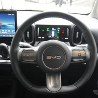 BYD RACCO（ラッコ）