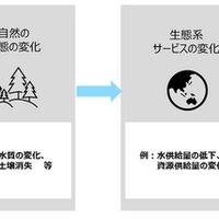 グループ事業の自然資本への依存と影響、リスクと機会の関係概念図