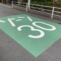 ゾーン30の例