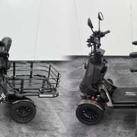 特定小型4輪「ELEGRAN」の新グレード「プレミアム」
