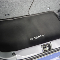 スズキ e SKY（eスカイ）のオプション装着車