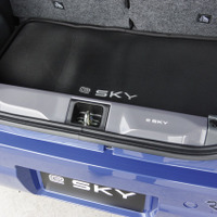 スズキ e SKY（eスカイ）のオプション装着車
