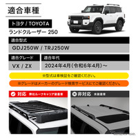 クラフトワークス『ランドクルーザー250』専用「展開式サイドラダー」