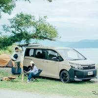 80 VOXY URBANATURE