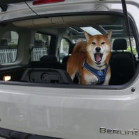 シトロエン・ベルランゴ SABLE MAX BlueHDi