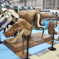 BANDAI SPIRITS（全日本模型ホビーショー2026）