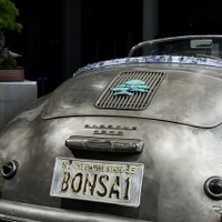 Bonsai 356