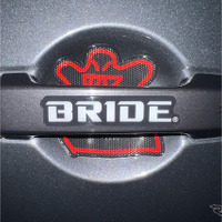 BRIDEドアハンドルプロテクター