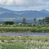 酒匂川（鮎釣り）